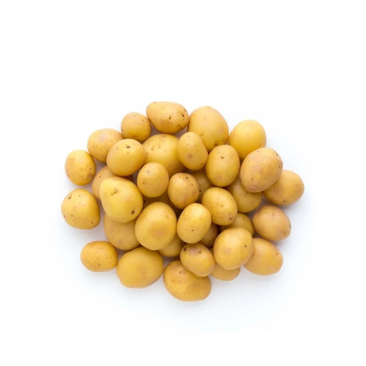 Hollanda Agria Bebek (Baby) Patates (10 Kg)